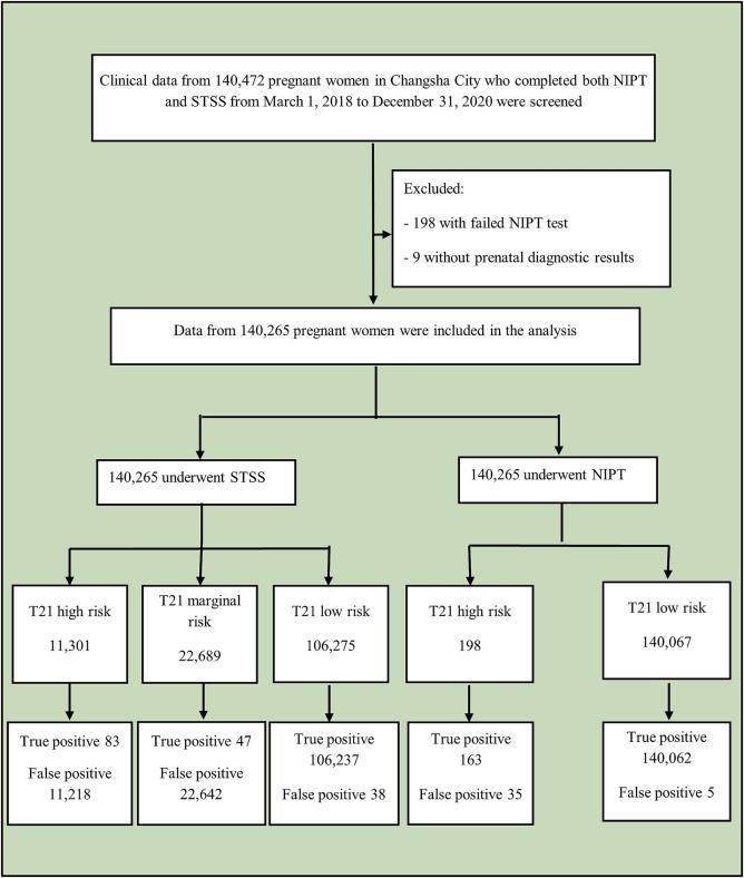 250513flowchart.jpg