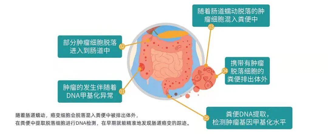 fh染色检测是什么这种癌症有10年癌前窗口期，多数人却拖到中晚期，一招提前揪出来_https://www.jmylbn.com_新闻资讯_第7张