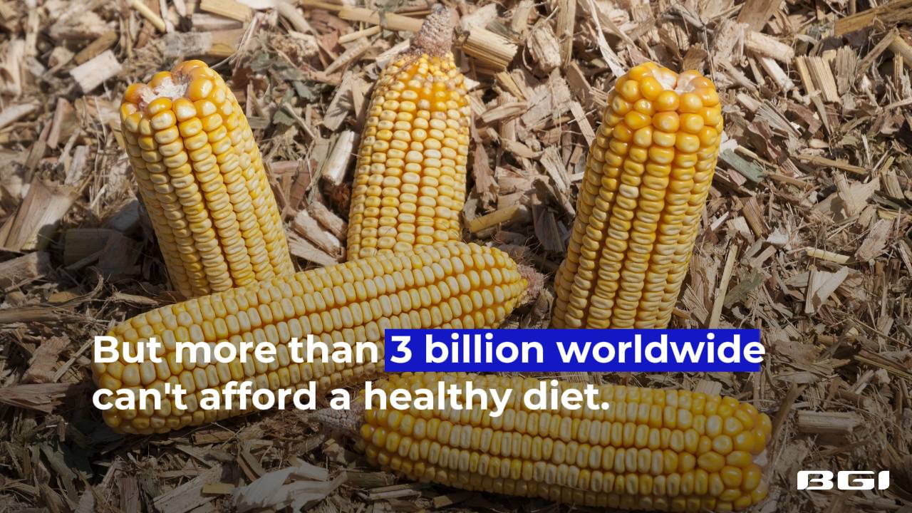 World Food Day | We Deserve Safe, Healthy and Nutritious Food!