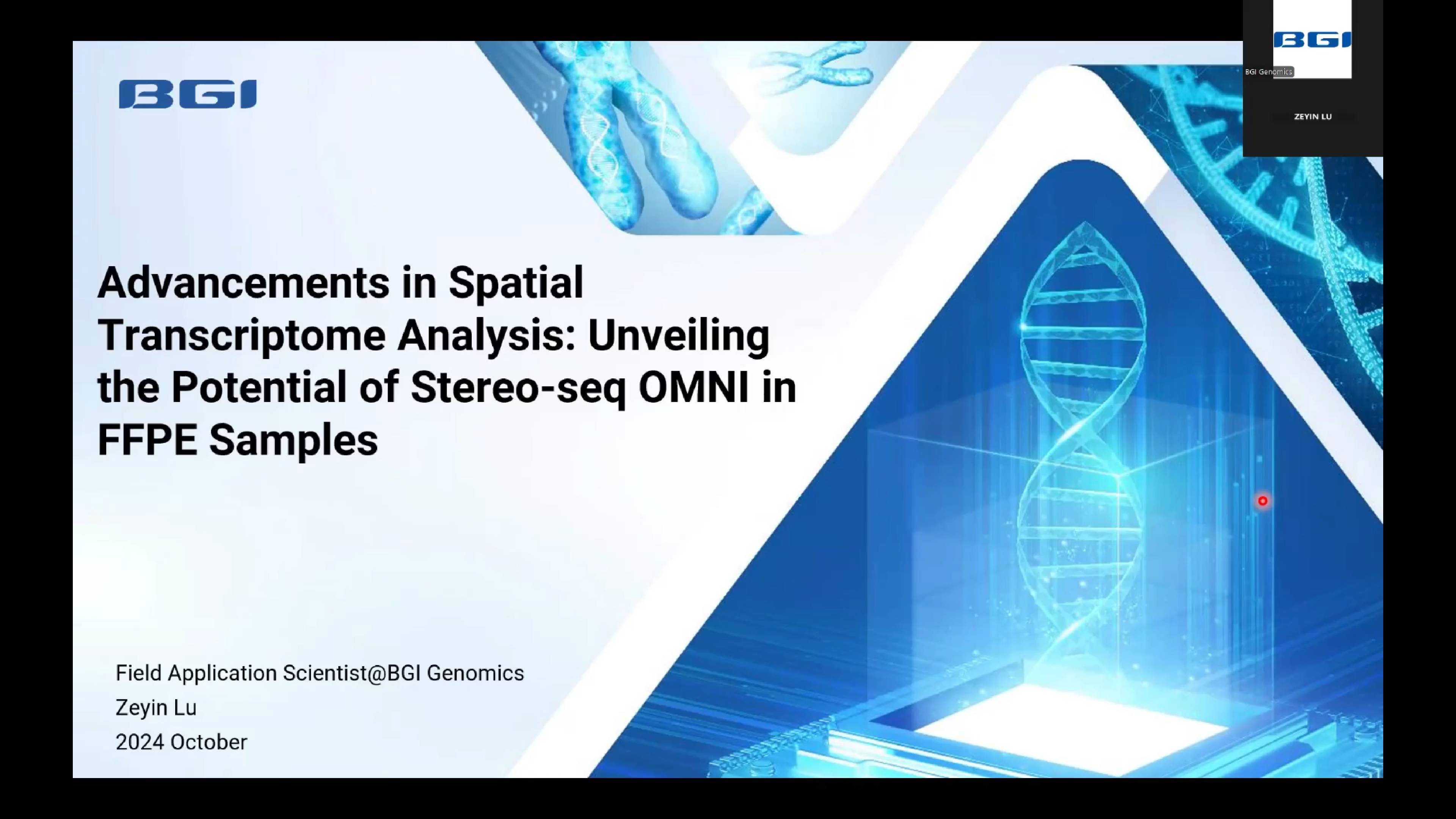 Spatial Transcriptome Analysis: Unveiling the Potential of Stereo-seq OMNI in FFPE Samples