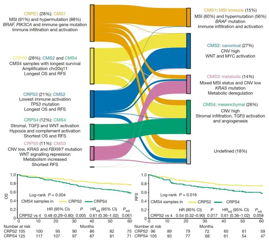 BGI+Genomics+Lin+Cong+Interview+ChatDNA+photo+2.png