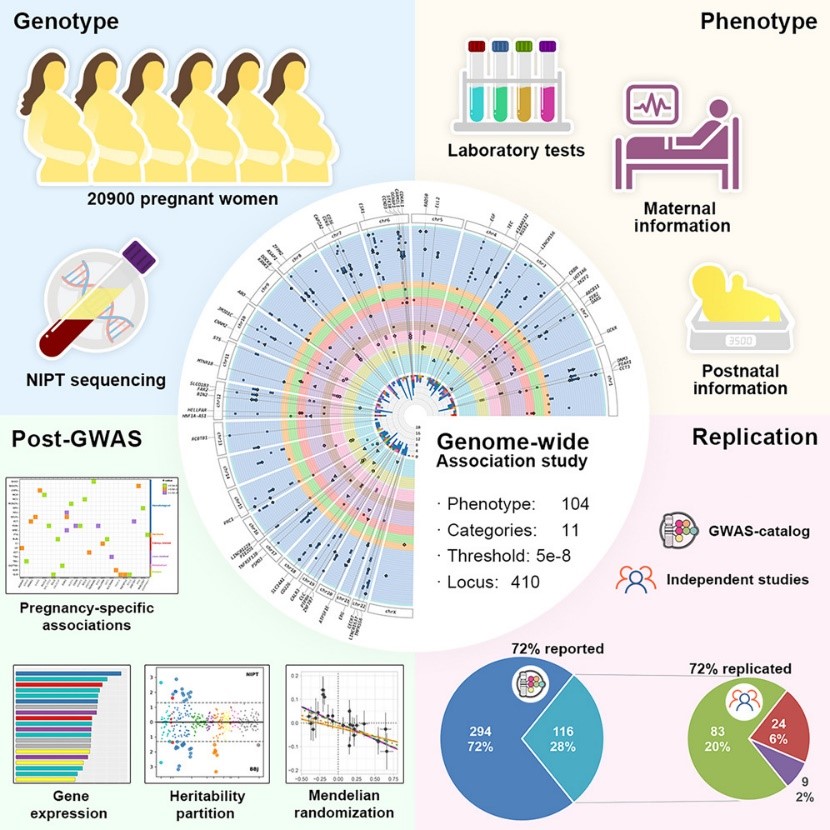 BGI+Genomics+Neonatal+Metabolism+Figure+3..jpg