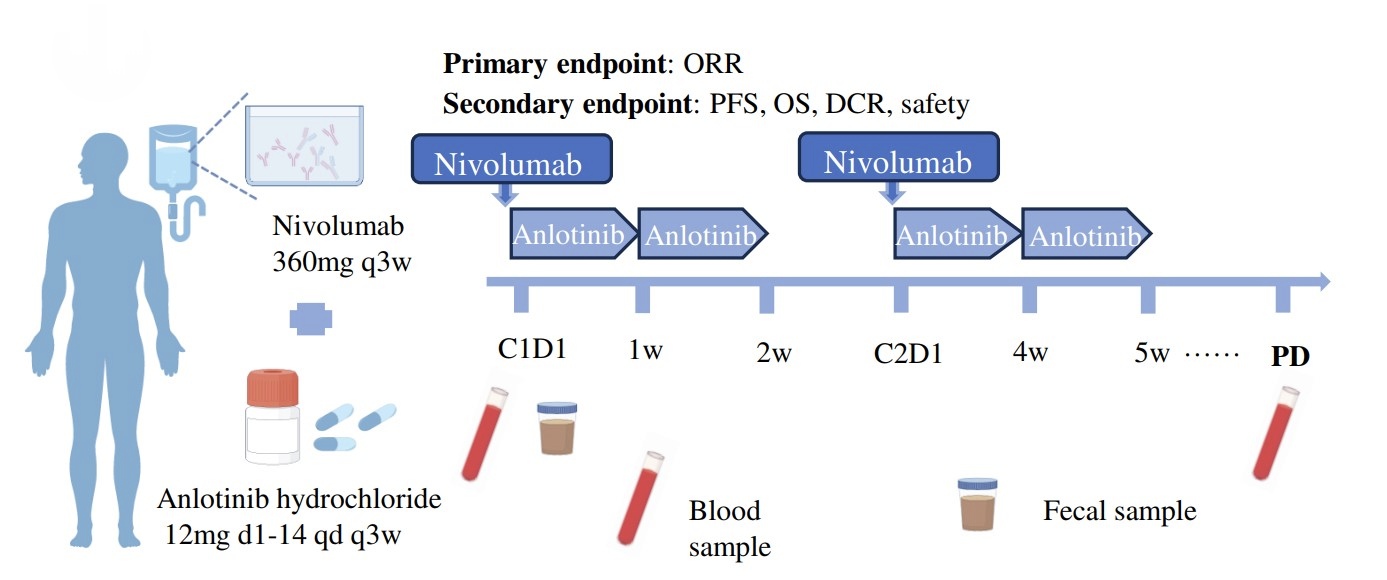 Figure+1+BGI+Genomics+GAC+Treatment+%281%29.jpg