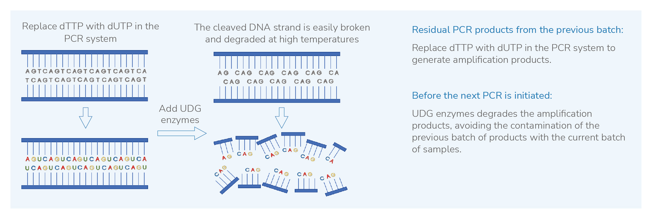 Global_English_Flyer+for+Pathogen+Targeted+High-throughput+Genetic+Sequencing_2.jpg