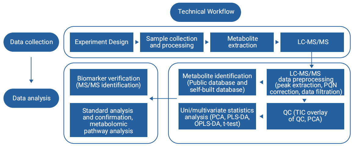 Untargeted Metabolomics - BGI Global, Mass Spec, NGS, Multi-omics