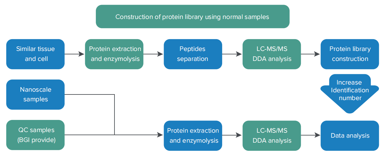 Protein analysis. (A) Typical flowchart for protein analysis after