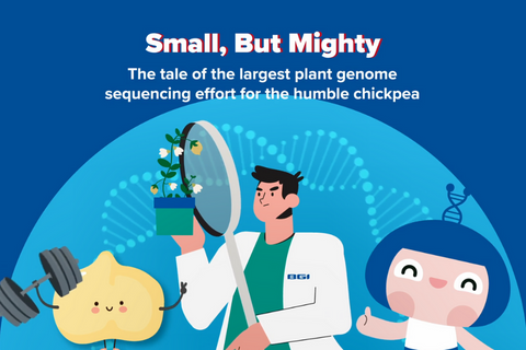 华大联合国际多家机构完成全球首个鹰嘴豆泛基因组